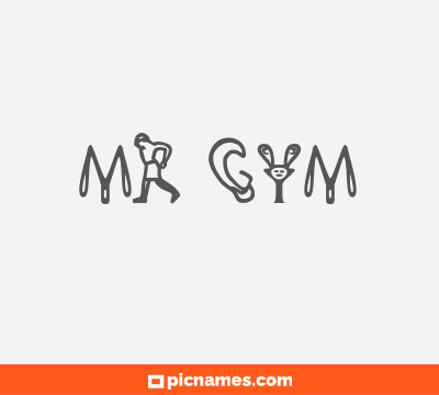 Mr Gym